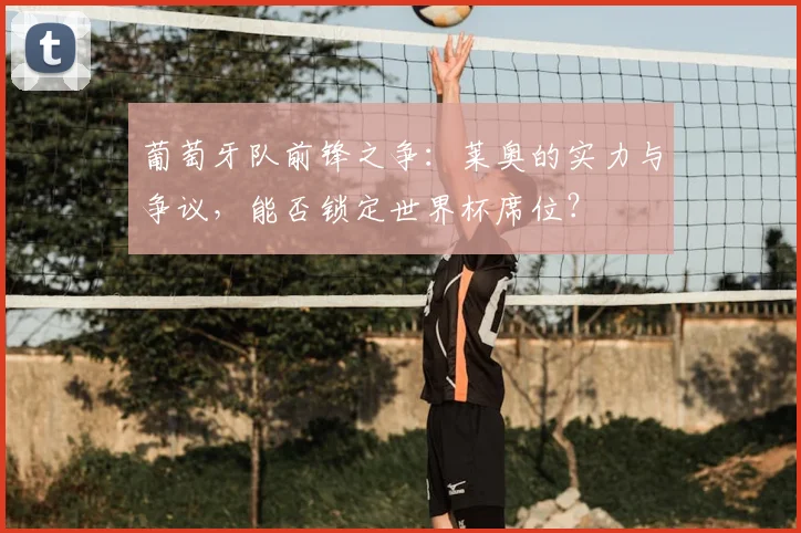 葡萄牙队前锋之争：莱奥的实力与争议，能否锁定世界杯席位？