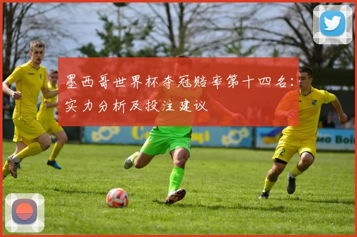 墨西哥世界杯夺冠赔率第十四名：实力分析及投注建议